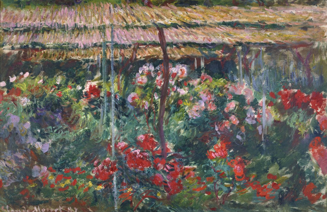 Pionträdgården  av Claude Monet