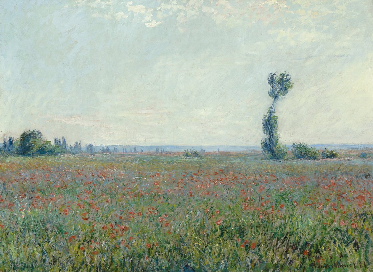 Vallmofält, 1881 av Claude Monet