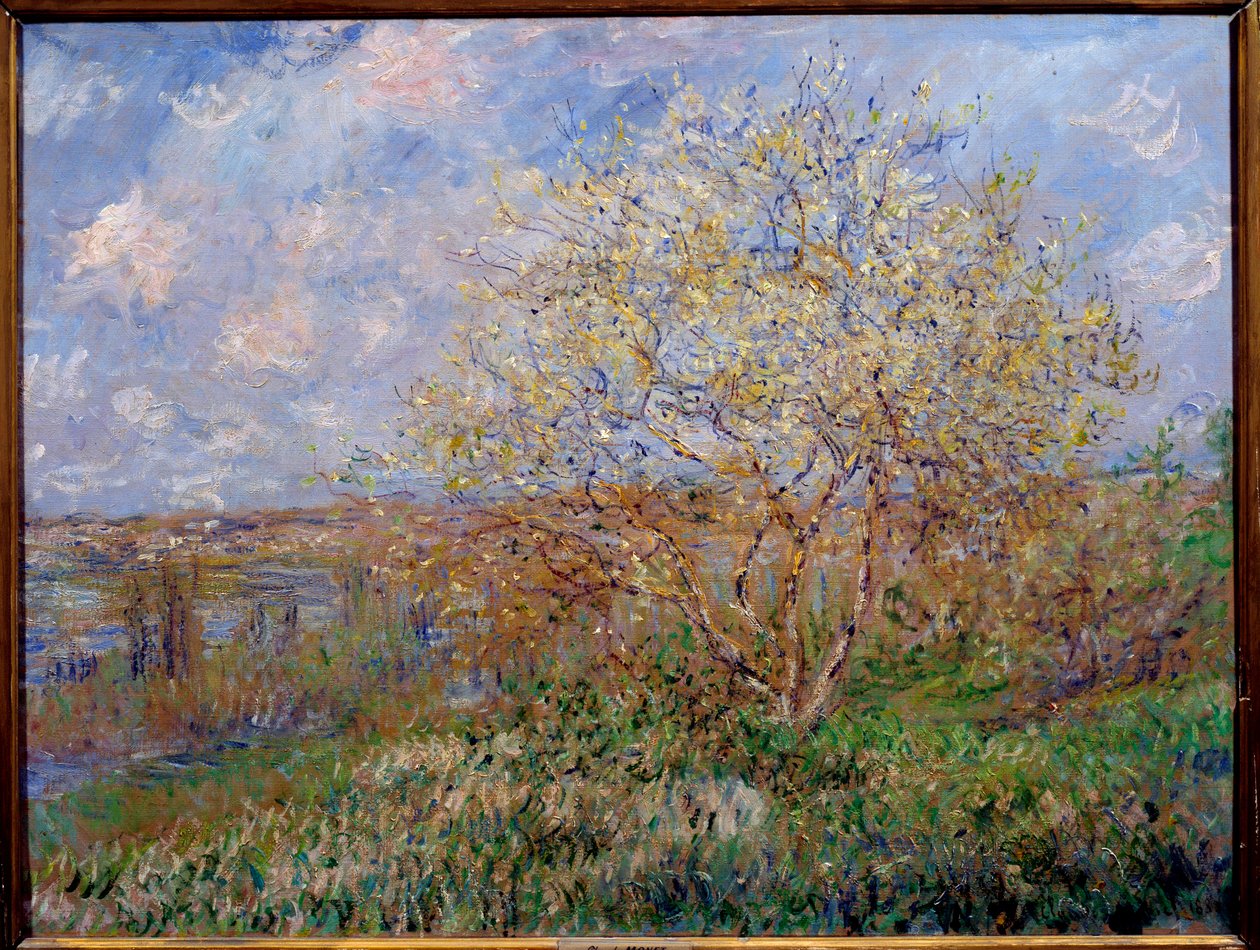 Vårmålning av Claude Monet (1840-1926) 1882 Dim. 0,60 x 0,79 m Lyon, Musee des Beaux Arts av Claude Monet