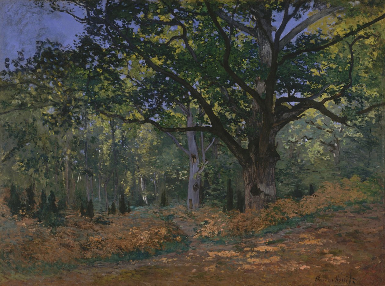 Bodmer Oak, Fontainebleau Forest av Claude Monet