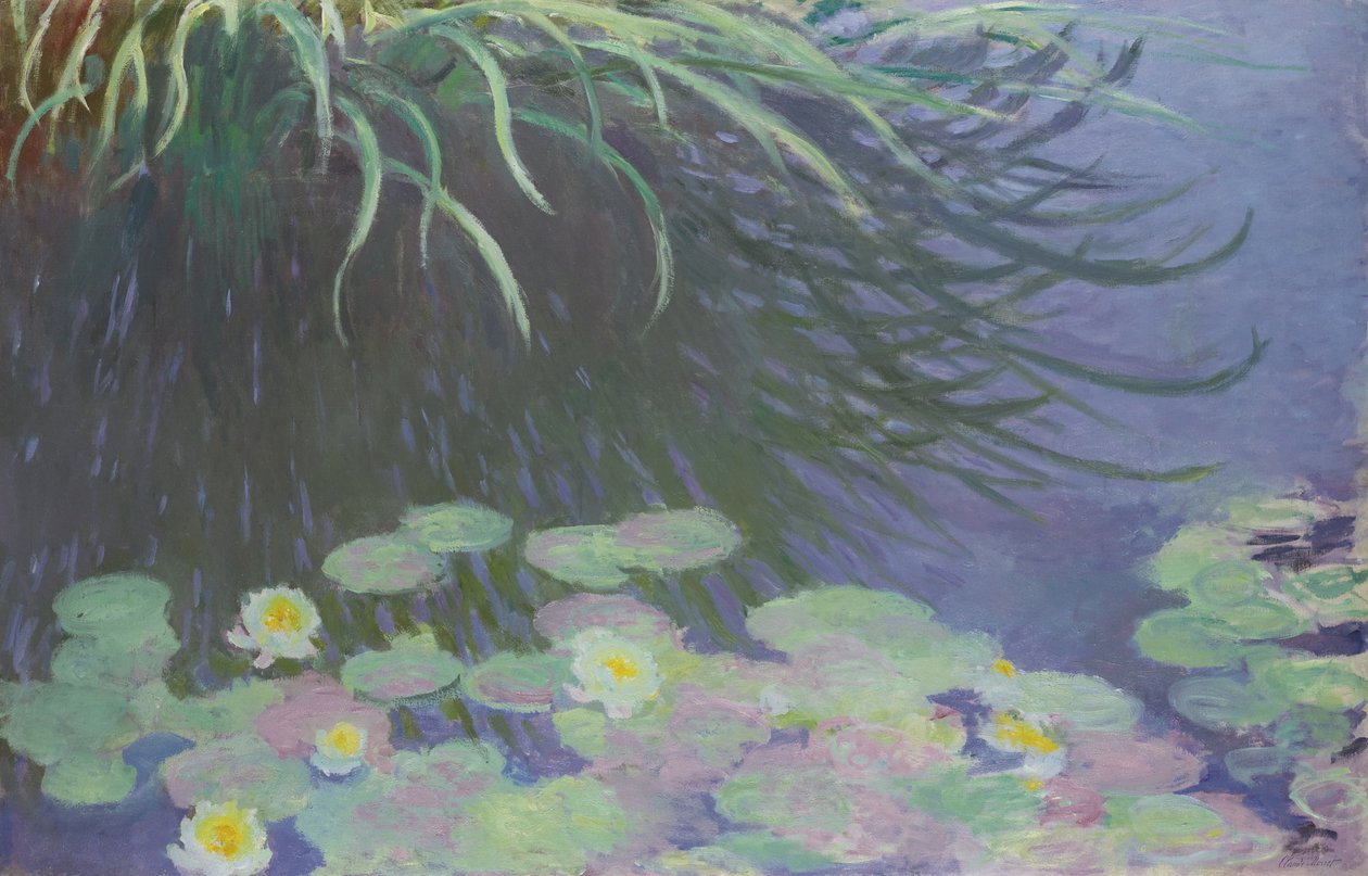 Näckrosor med reflektioner av högt gräs, 1914-1917 av Claude Monet