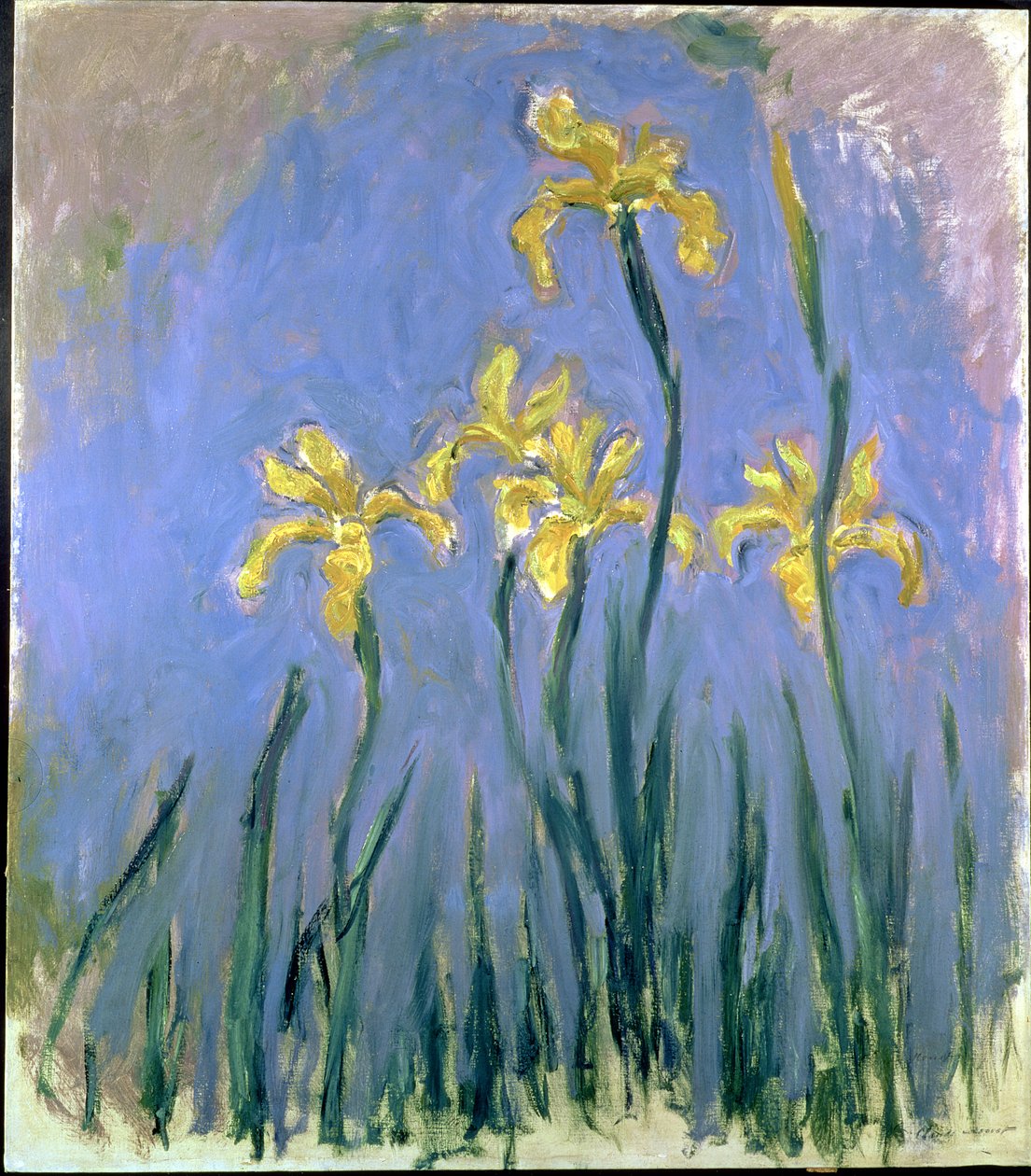 Gula iris; Les Iris Jaunes, ca 1918-1925 (olja på duk) av Claude Monet