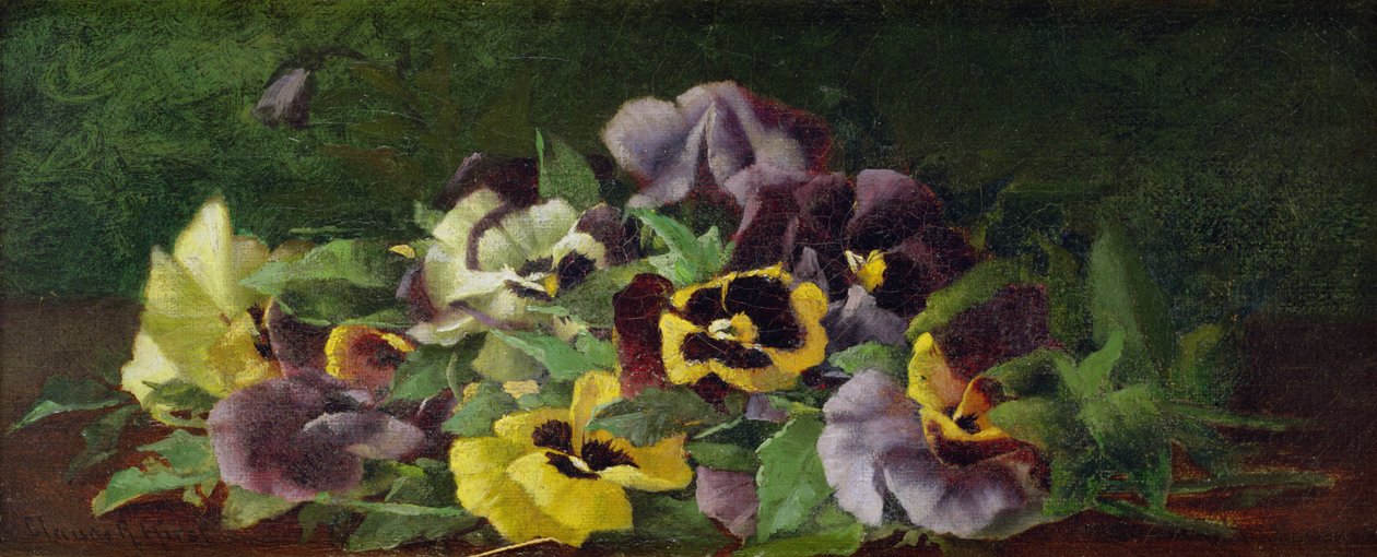 Pansies (olja på duk) av Claude Raguet Hirst