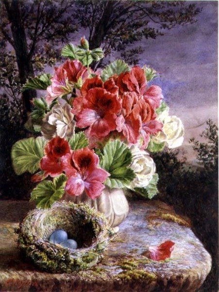 Gloxinia och fågelboet av Claude Ryan