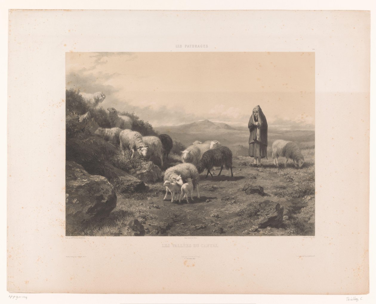 Herdinna med får på Cantalslätten Les Vallées du Cantal (titel på objekt) Betesmarker (serietitel) Les paturages (serietitel på objekt) av Claude Thielley
