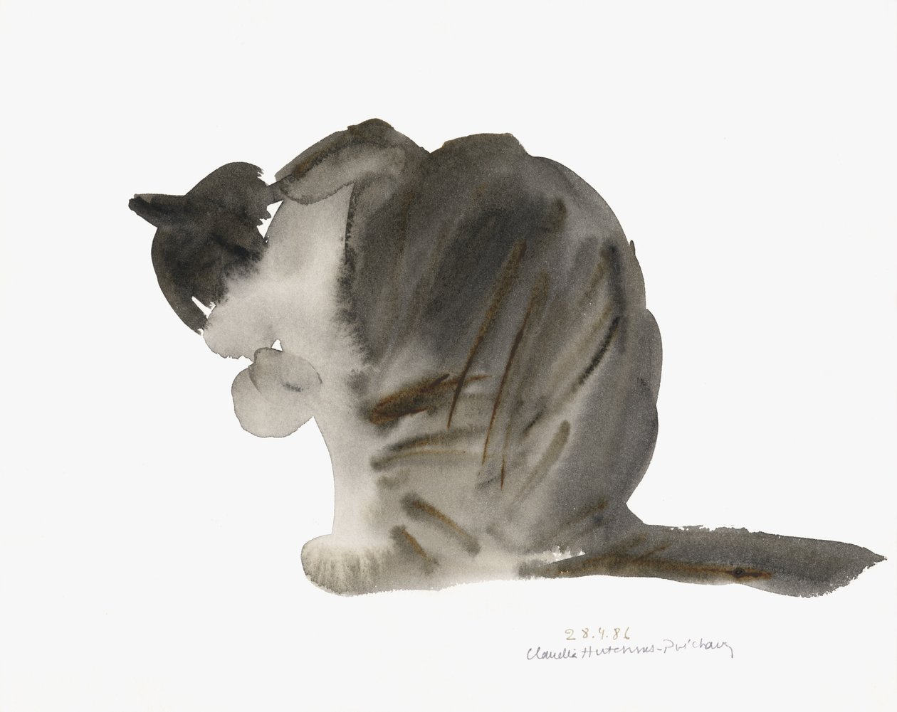 Katt, 1985 (akvarell) av Claudia Hutchins Puechavy