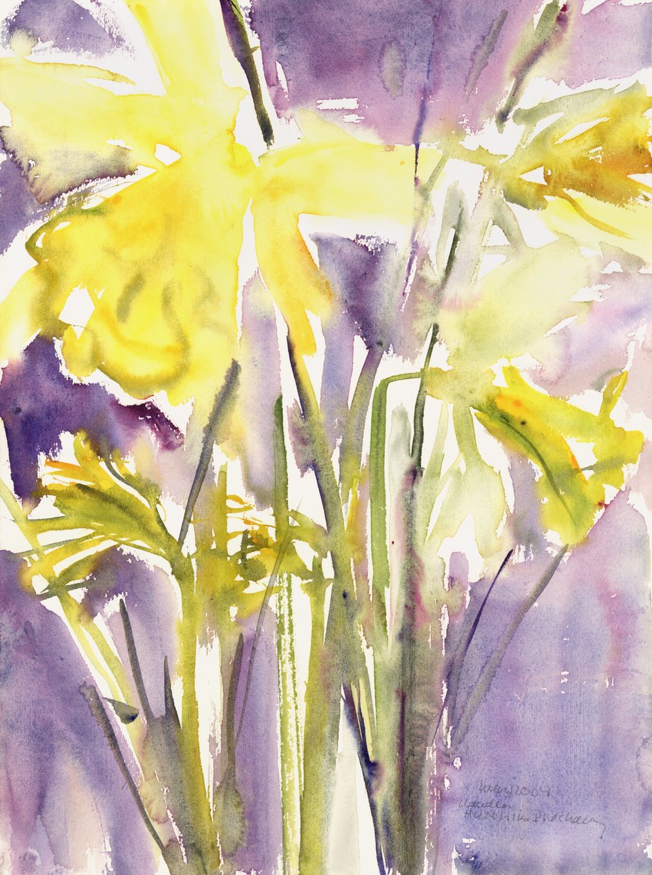 Påskliljor, 2004 (akvarell) av Claudia Hutchins Puechavy