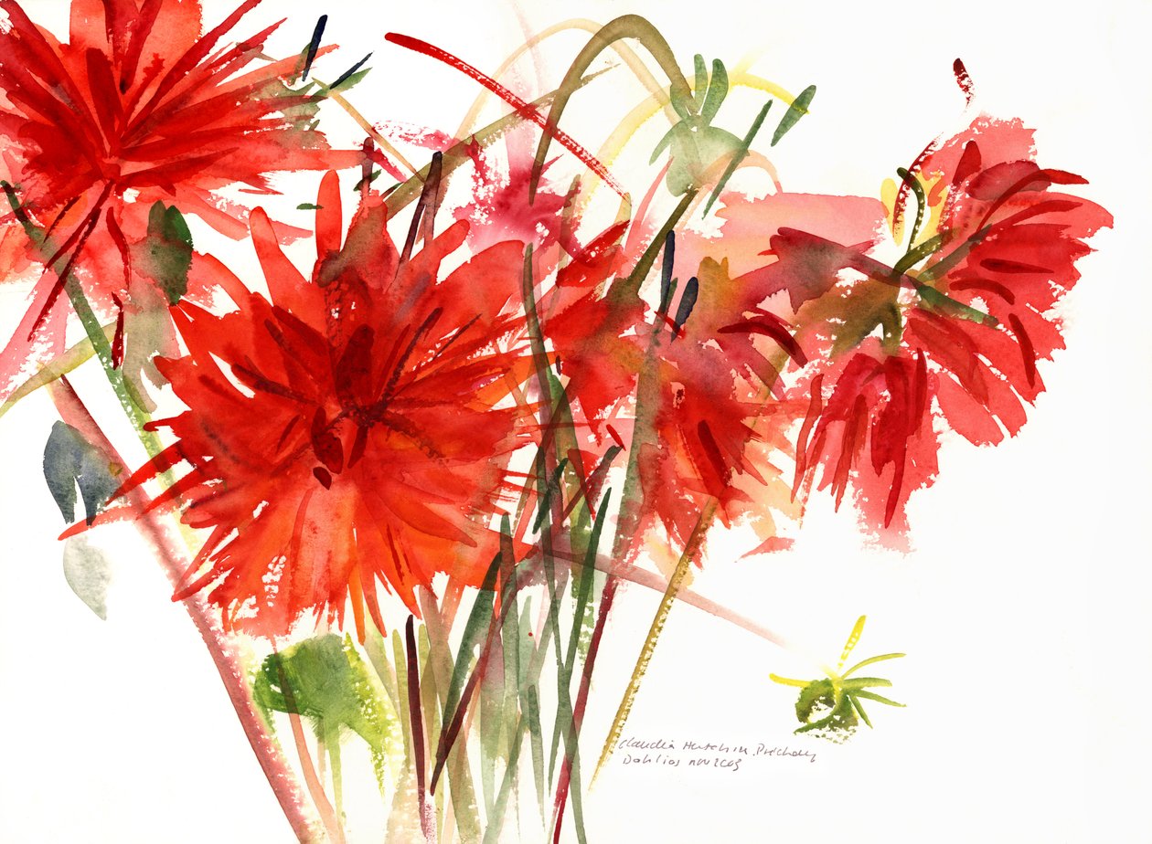 Dahlior, 2002 (akvarell) av Claudia Hutchins Puechavy