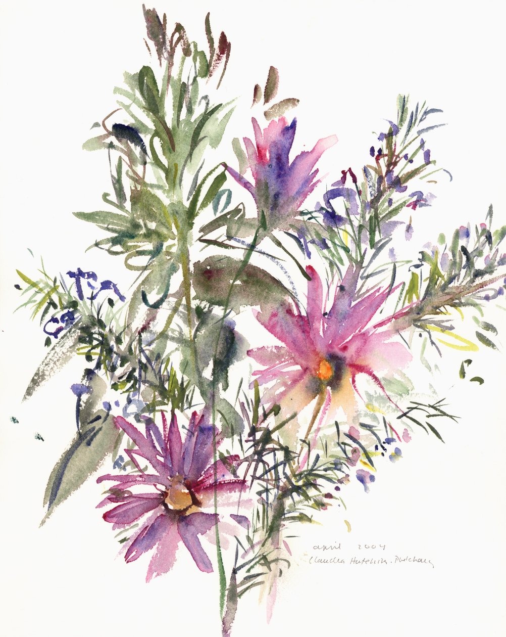 Floral, sydafrikanska prästkragar och lavander, 2004 (akvarell) av Claudia Hutchins Puechavy