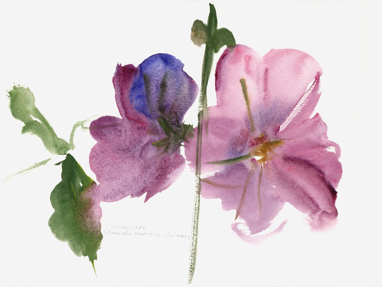 Hollyhocks, 1988 (akvarell) av Claudia Hutchins Puechavy