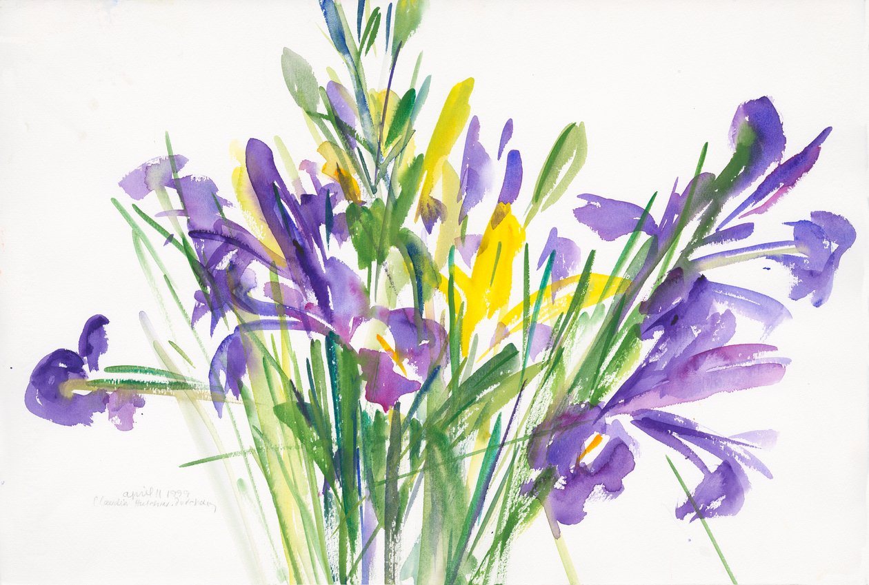 Irises, 1999, (akvarell på papper) av Claudia Hutchins Puechavy