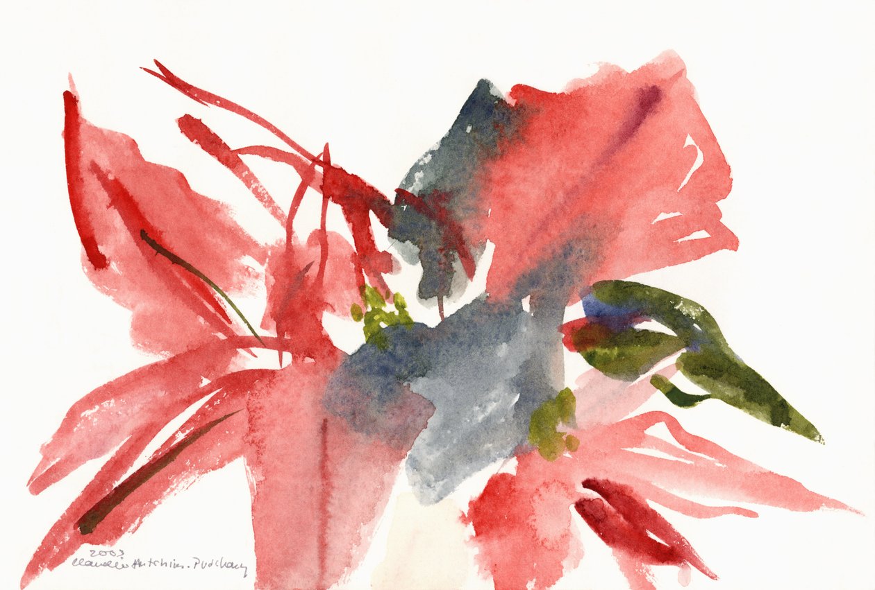 Julstjärna, 2003 av Claudia Hutchins Puechavy