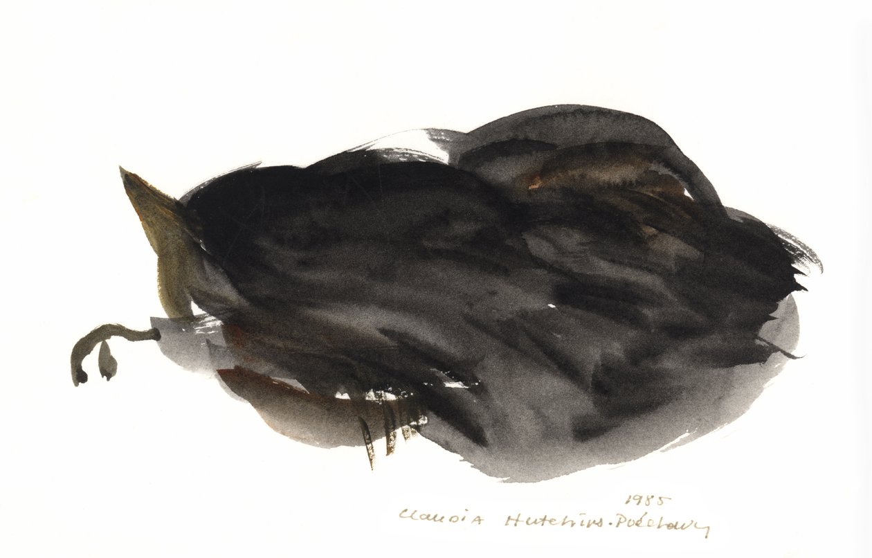 Sovande katt, 1985 (akvarell) av Claudia Hutchins Puechavy