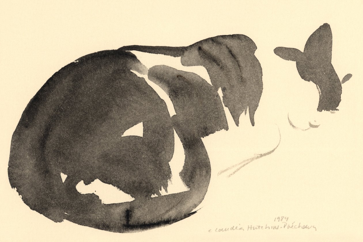 Sleeping cat, 1984 (akvarell) av Claudia Hutchins Puechavy