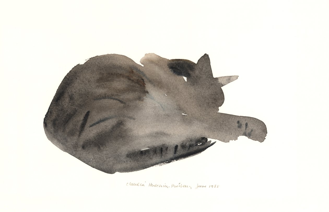 Sovande katt, 1985 (akvarell) av Claudia Hutchins Puechavy
