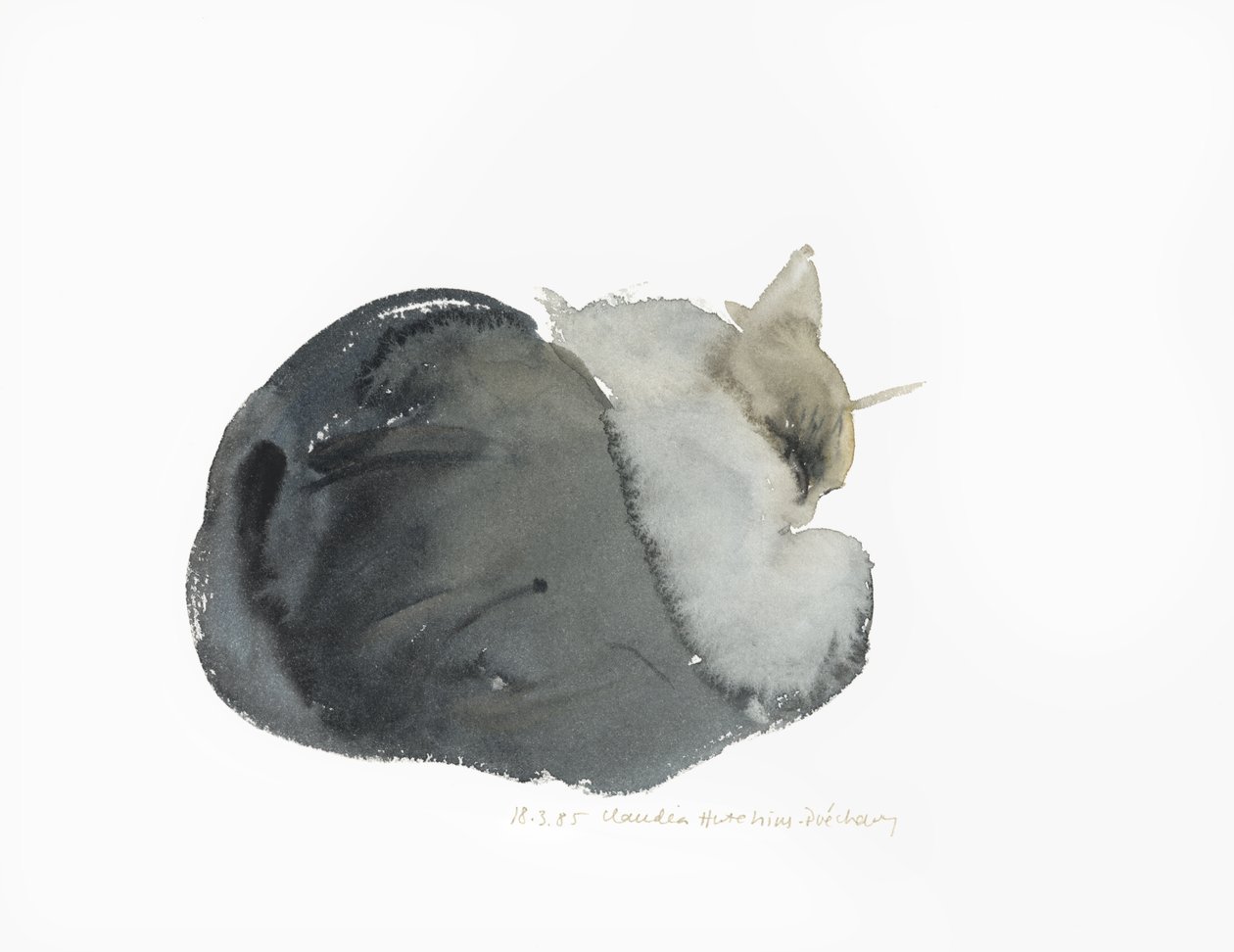 Sleeping cat, 1985 (akvarell) av Claudia Hutchins Puechavy