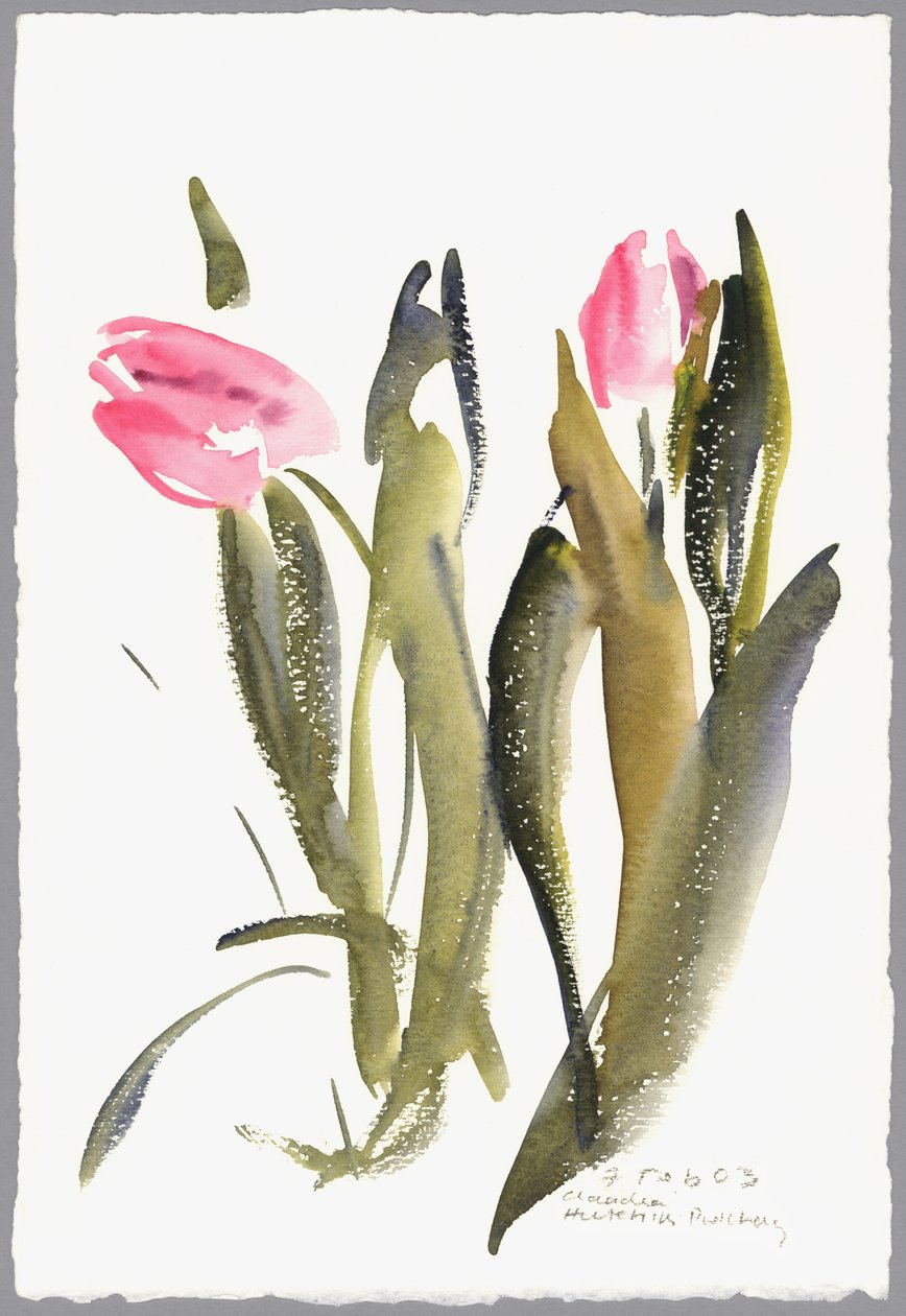 Tulpaner, 2003 (akvarell) av Claudia Hutchins Puechavy