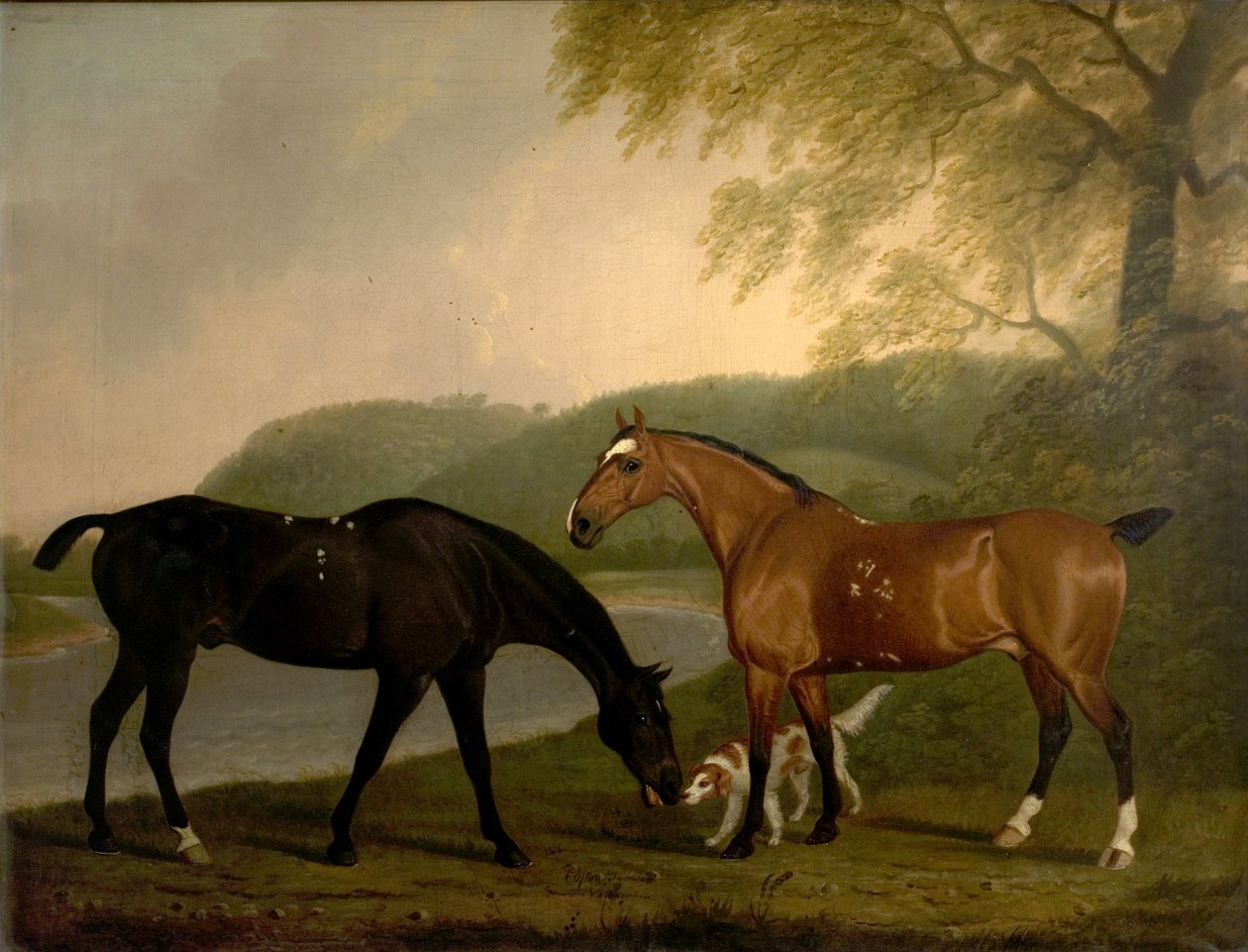 Hästar och hund i ett landskap, c.1830 av Clifton Tomson