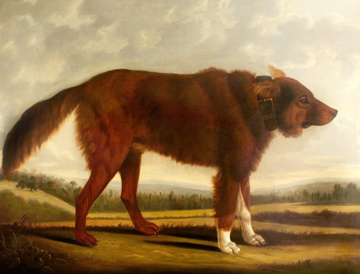 Lord Byrons Dog Lyon (Varghunden), 1808 av Clifton Tomson