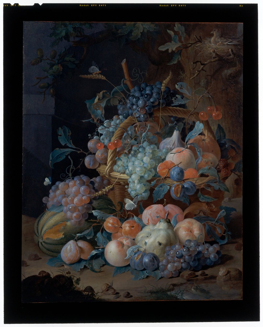 Blomsterstilleben (olja på duk) av Coenraet Roepel