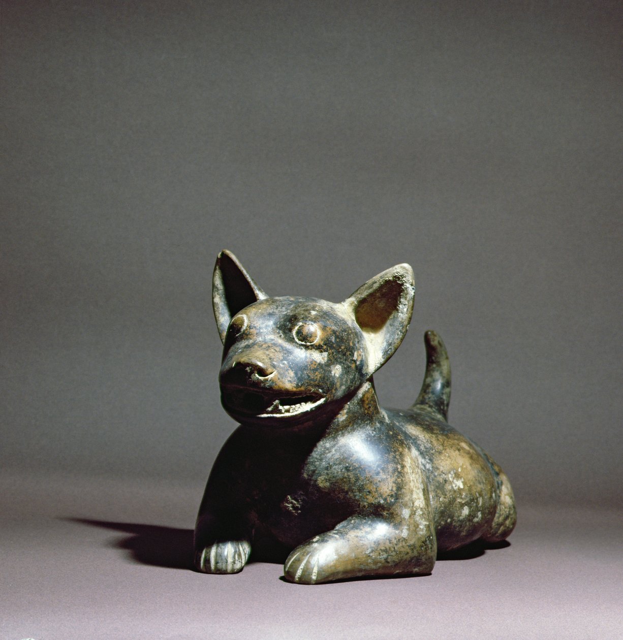 Colima halvliggande hund, 300 BC - 500 BC (keramik) av Colima Culture