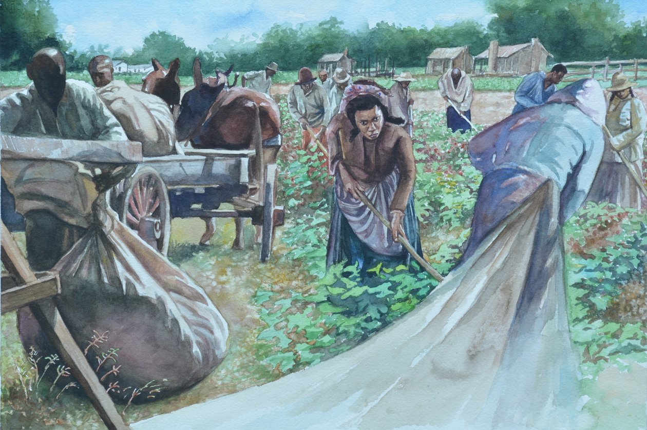 Backbreaking, 2010 av Colin Bootman
