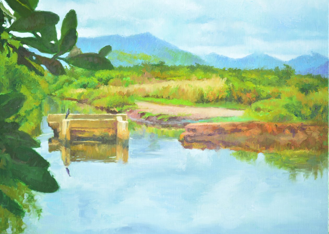 Reflektioner, 2017 av Colin Bootman