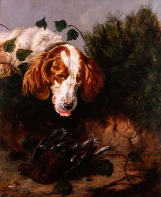 Just Shot - Spaniel med en död ripa av Colin Graeme