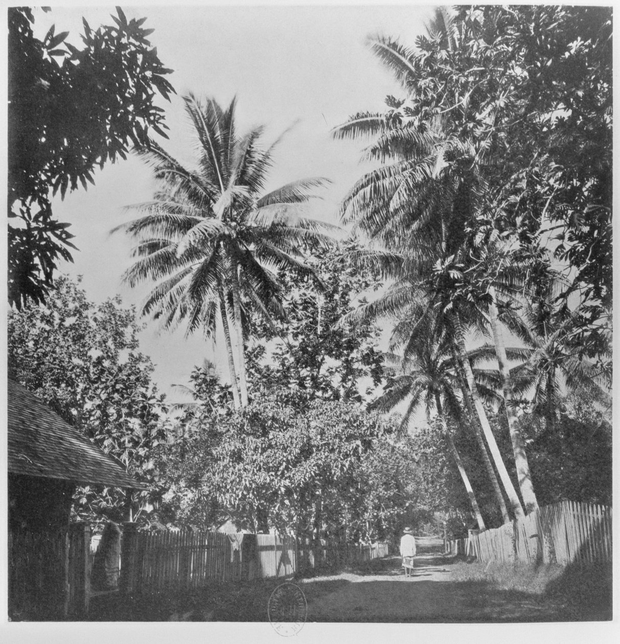 A Street in Papeete, från 