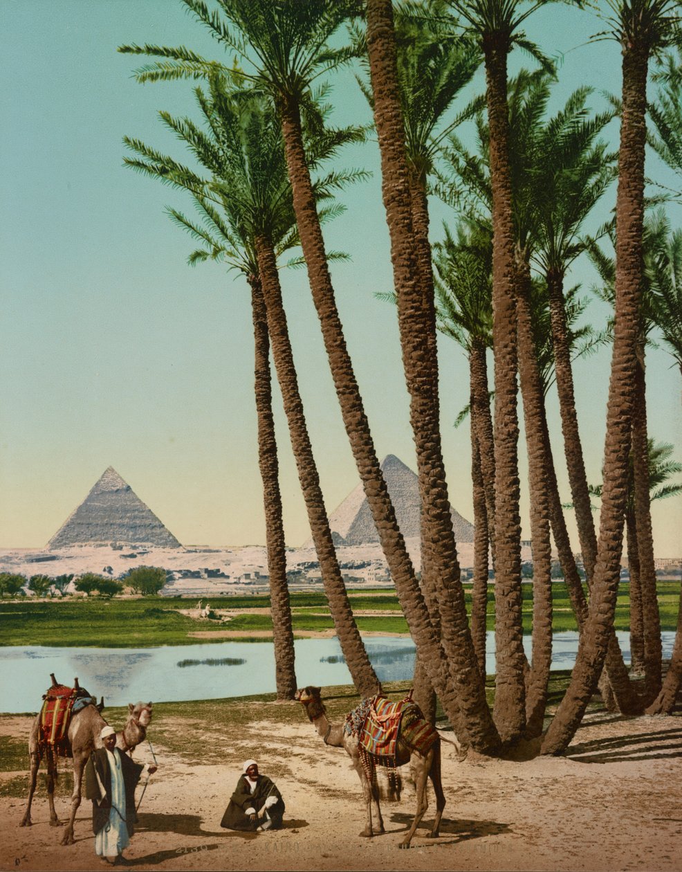 Palmer, beduiner och pyramider, Kairo, Egypten av Company Photoglob