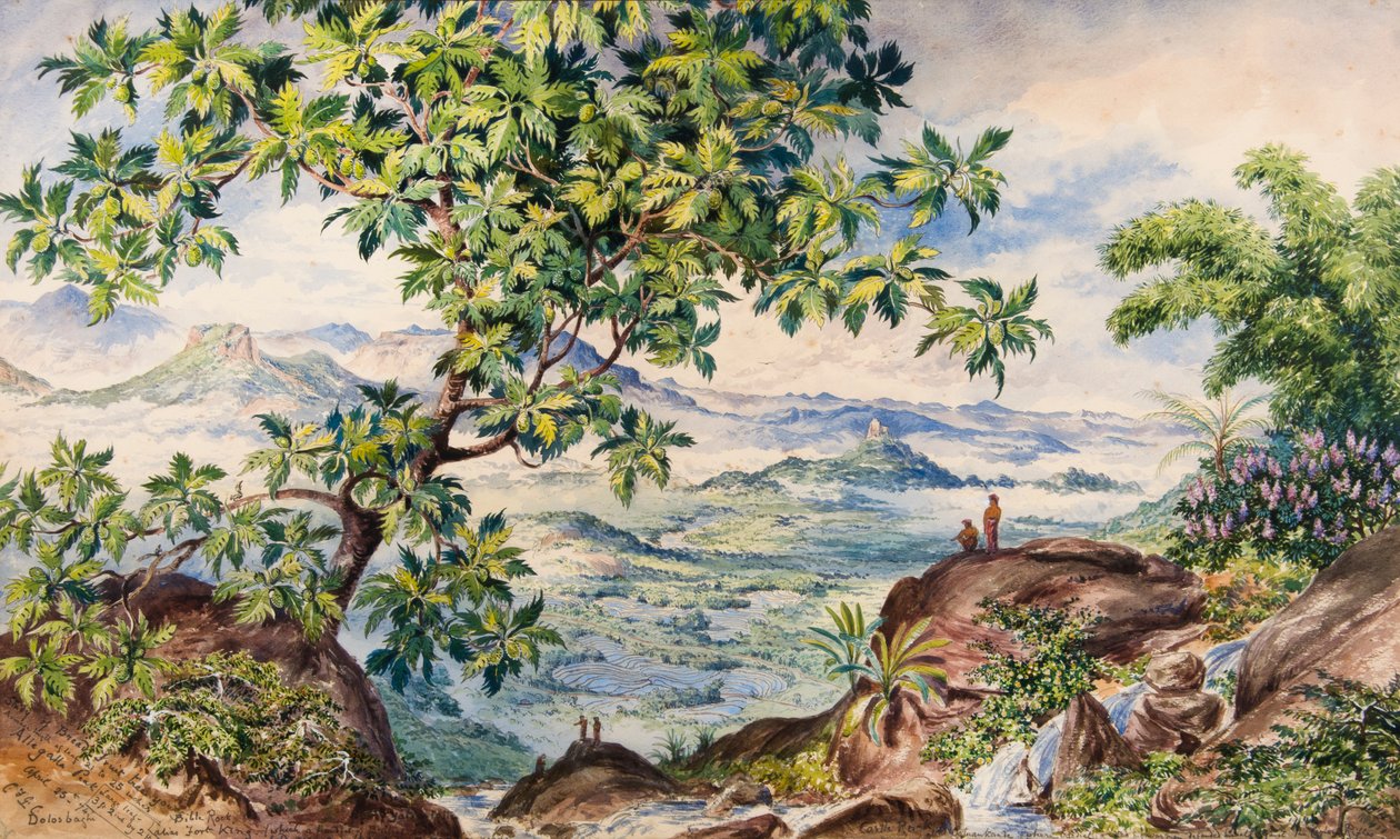 Studie av fruktträd med bröd, Allegalla Peak av Constance Frederica Gordon-Cumming