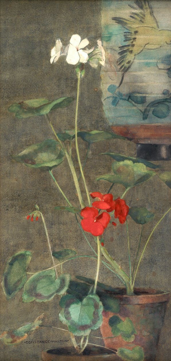 Pelargoner och japansk lykta (akvarell på papper) av Constance Walton