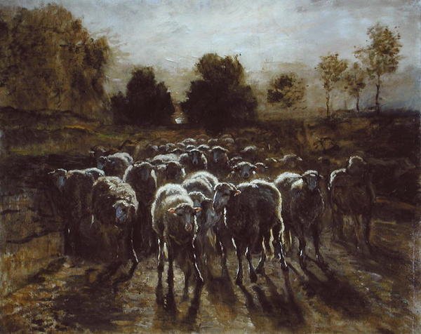 Flock of Sheep, eller The Return of the Flock (olja på duk) av Constant-Emile Troyon