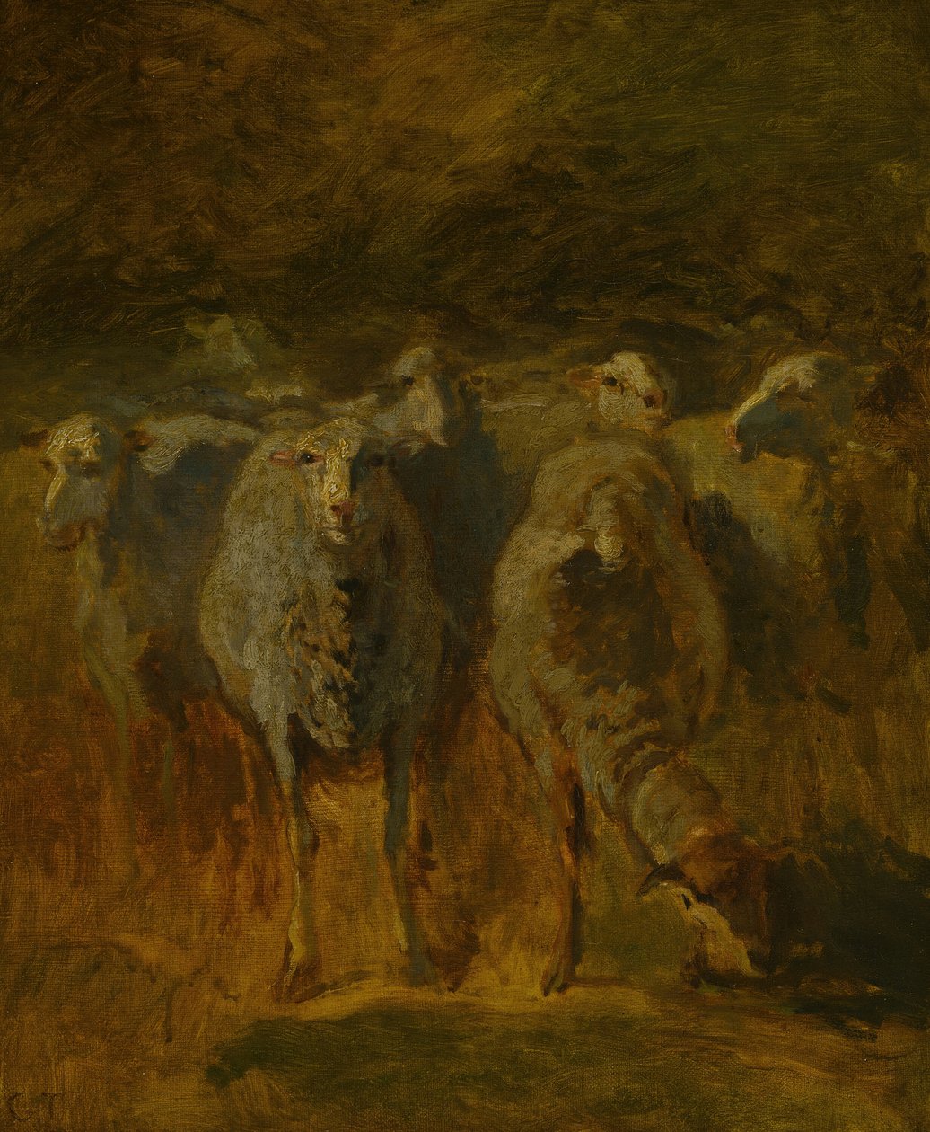 Unfinished Study of Sheep, c. 1850. av Constant Troyon
