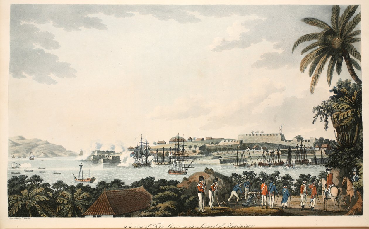 N.E. beskåda av Fort Louis på ön Martinique, illustration från "en redogörelse för kampanjen i Västindien" av pastor Cooper Williams, litografi av S. Allen, pub. London 1796 av Cooper Willyams