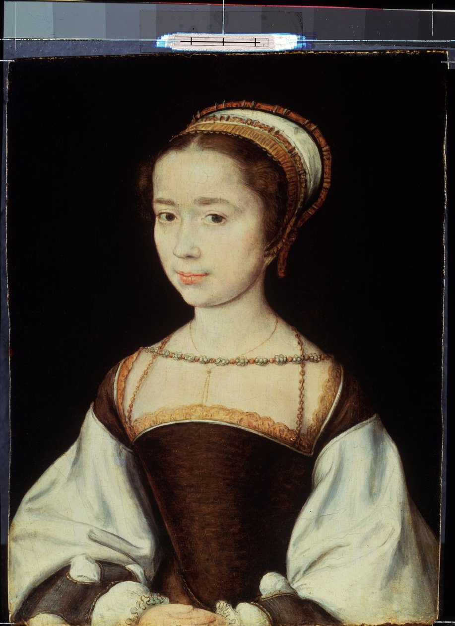 swedish av Corneille de la  Haye