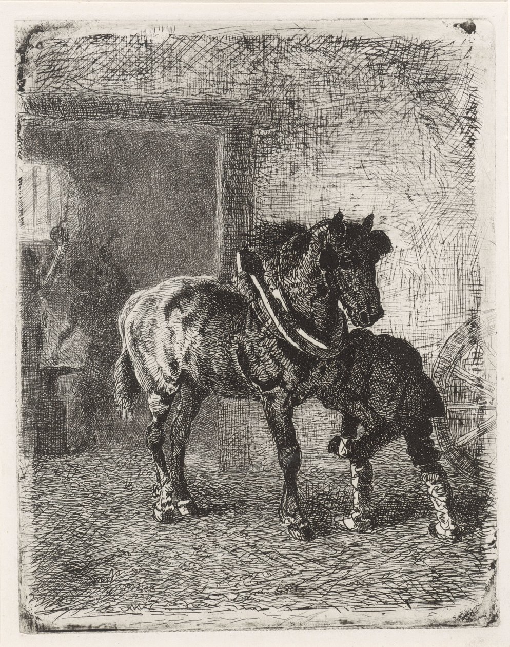 Häst får hästskor i en smedja av Cornelis Albertus Johannes Schermer