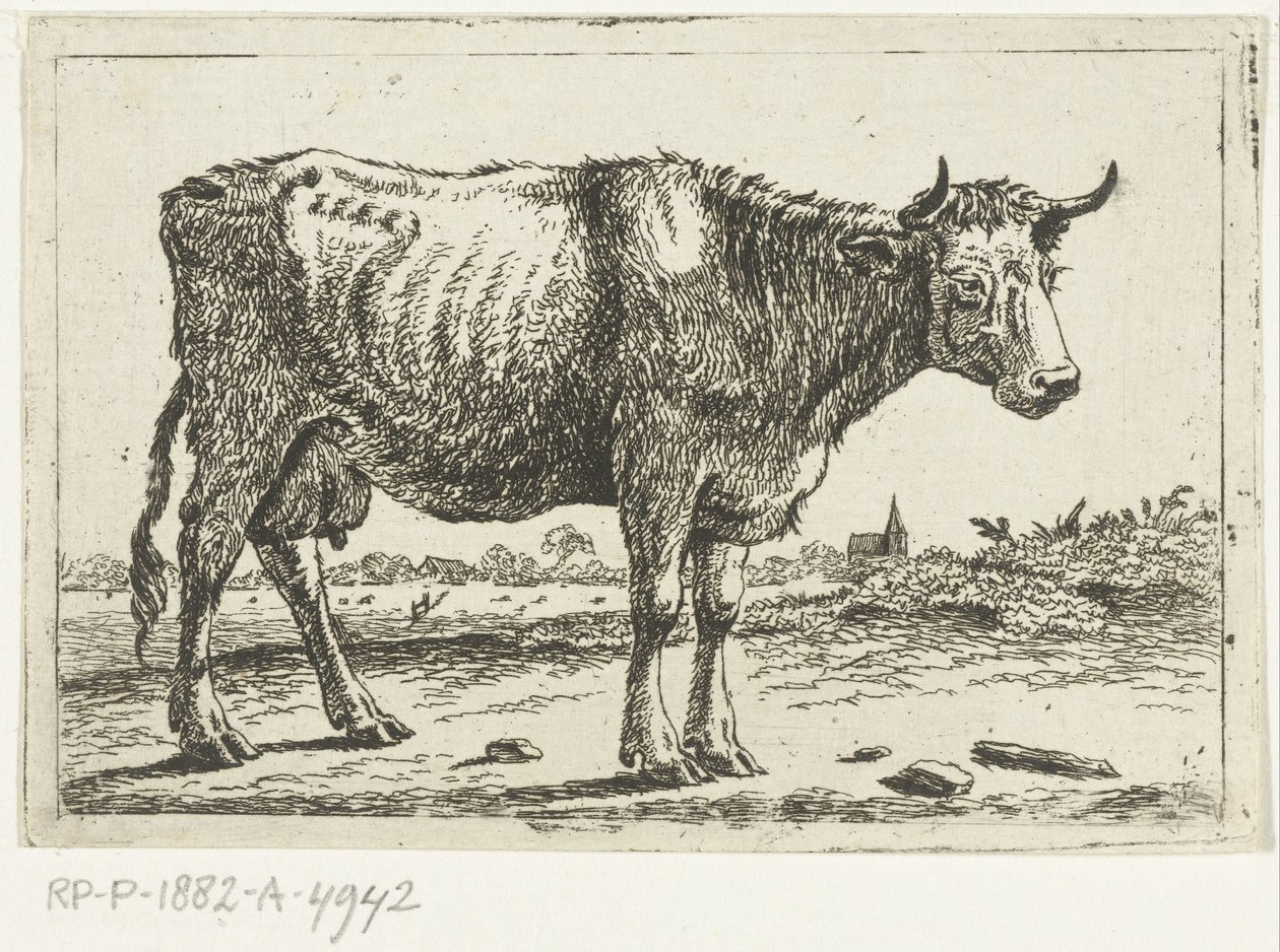 Landskap med ko av Cornelis  Bisschop