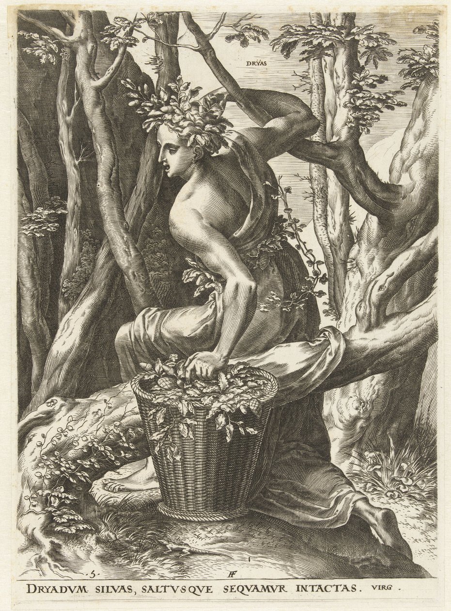 Dryas (titel på objekt) Gudinnor och nymfer (serietitel) av Cornelis Cort