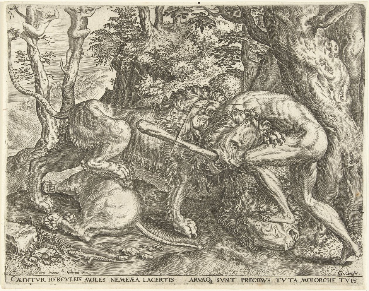 Herkules stryper det Nemeiska lejonet Labours of Hercules (serietitel) av Cornelis Cort