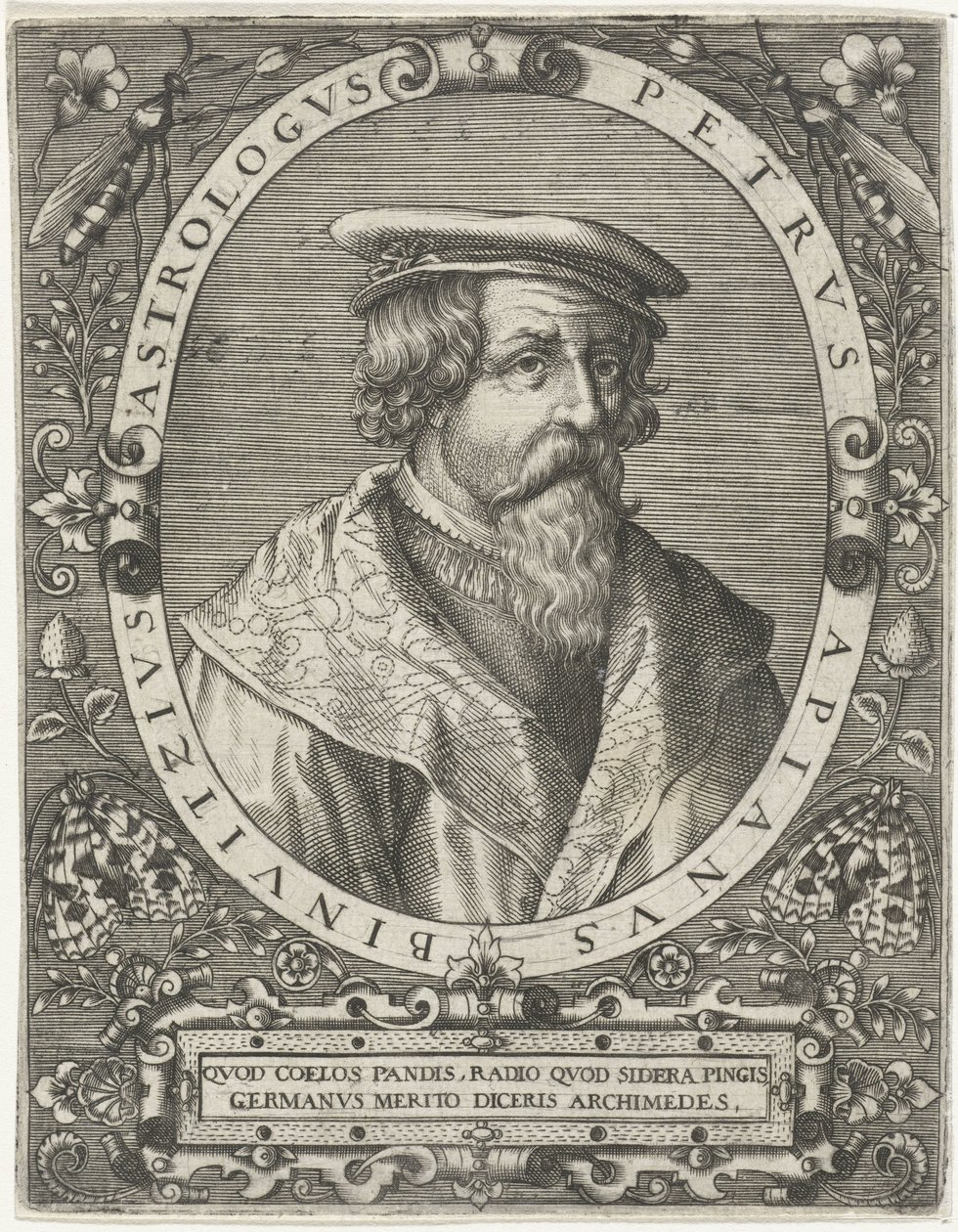 Porträtt av Peter Apianus Petrus Apianus Binuitzius (titel på objekt) av Cornelis Galle (I)