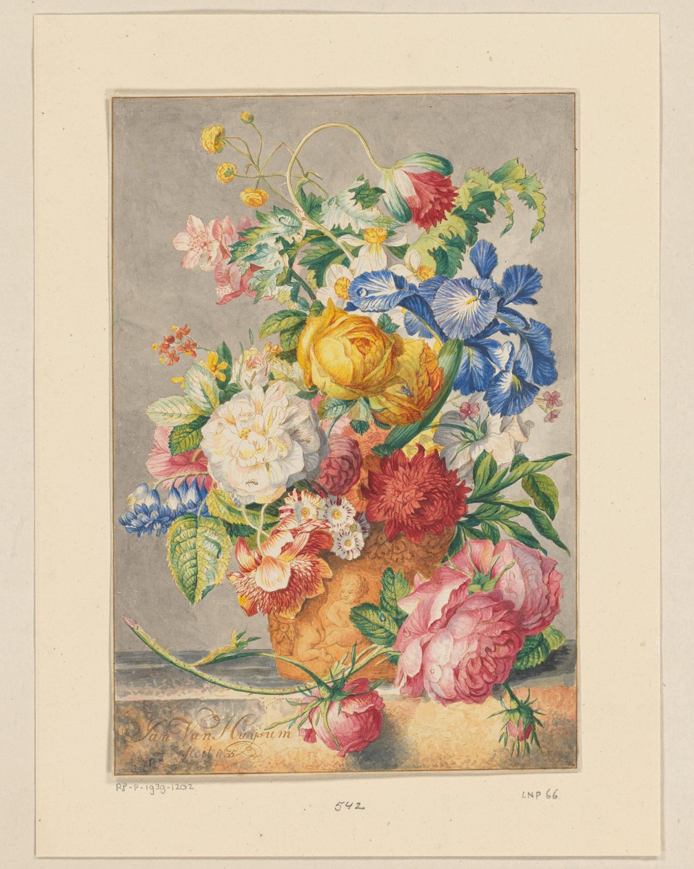 blomma stilleben av Cornelis Ploos van Amstel