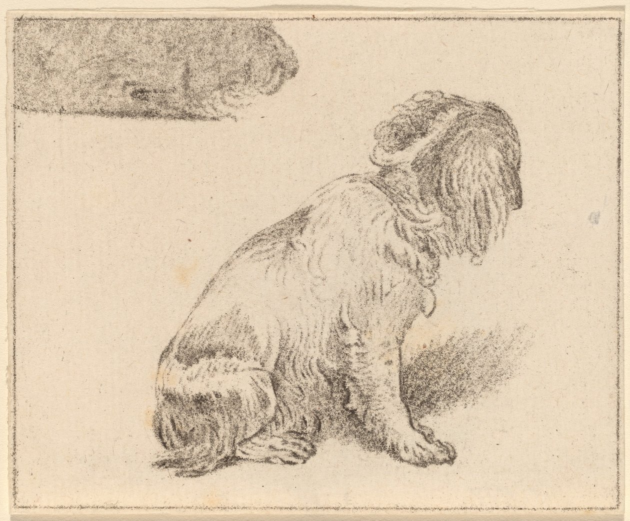 Sittande hund av Cornelis Ploos van Amstel