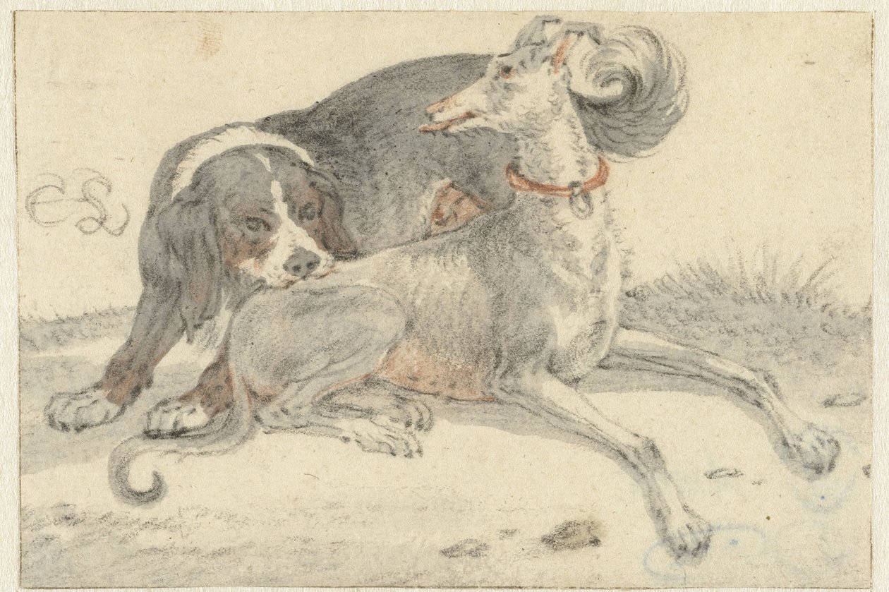 Vinthund och en rapphönshund av Cornelis Saftleven