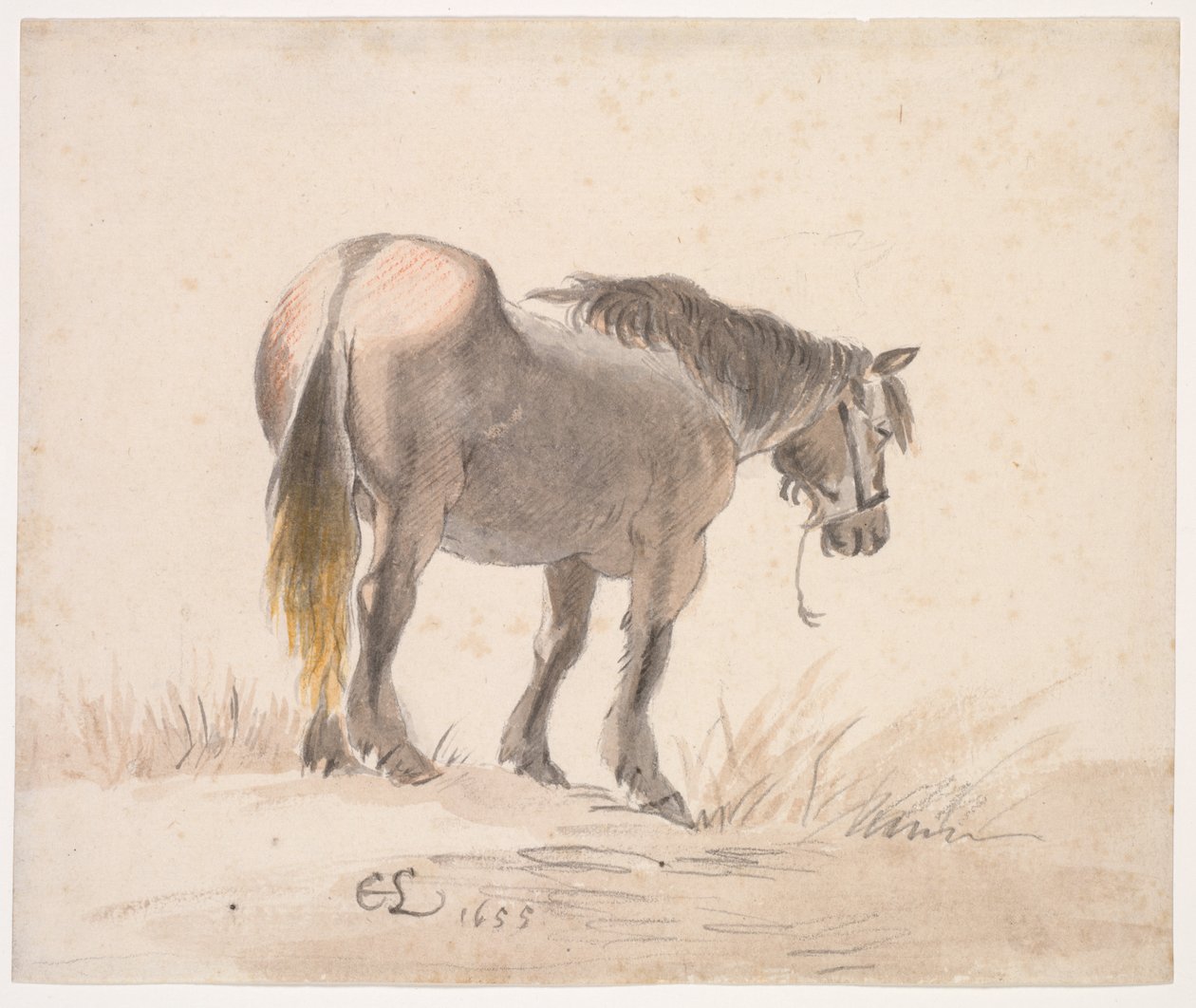 Häst som står på en hög av Cornelis Saftleven