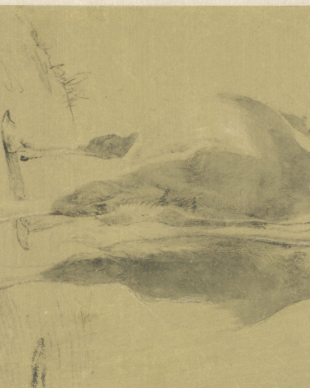 Stående ko, bakifrån av Cornelis Saftleven