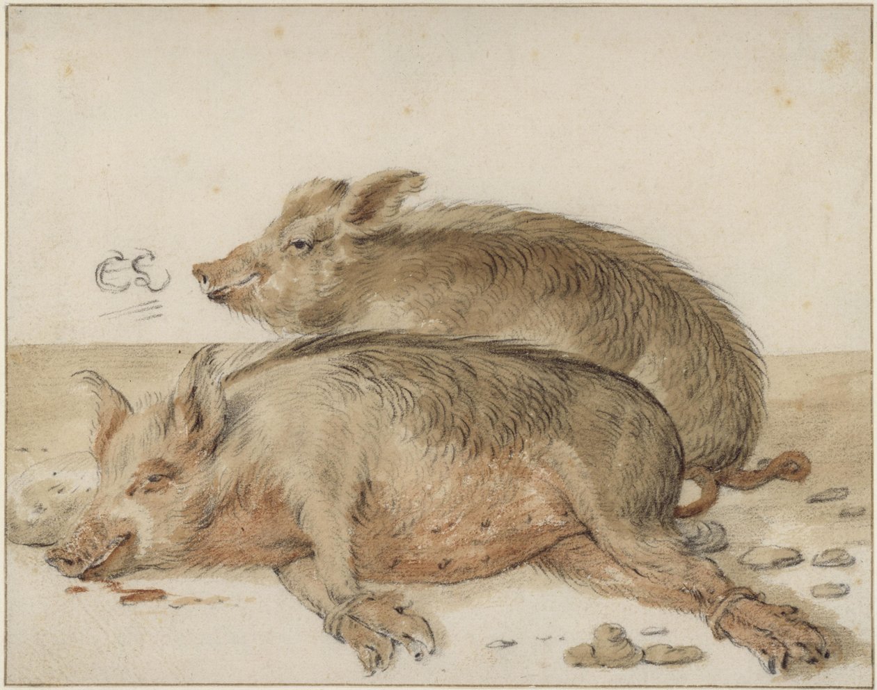Två grisar av Cornelis Saftleven