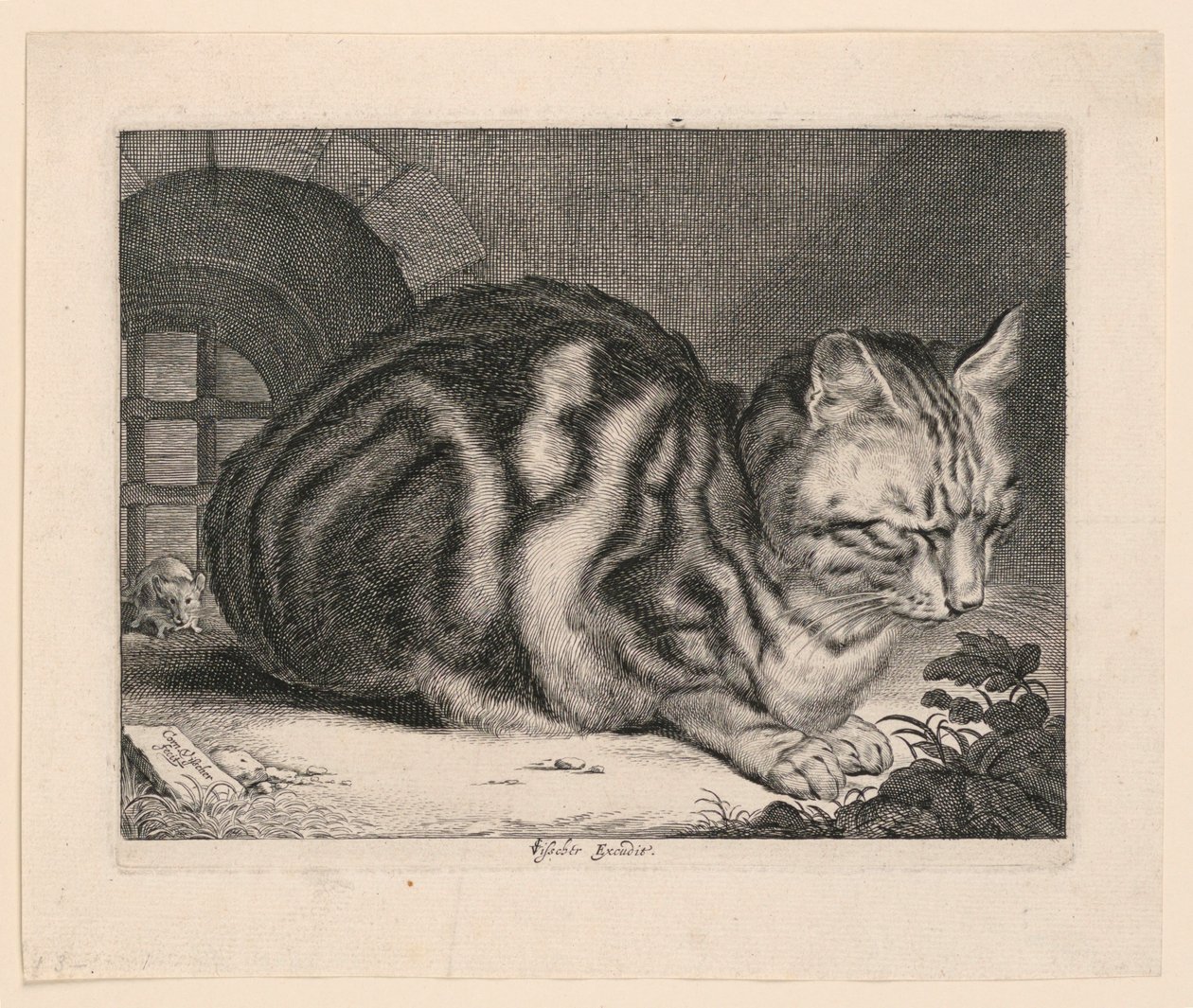 Den stora katten av Cornelis Visscher