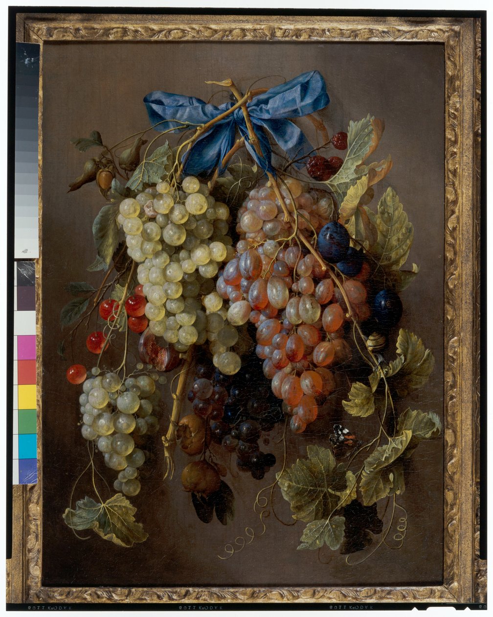 Stilleben av vindruvor, körsbär och plommon som hänger från en spik med ett blått band av Cornelis de Heem