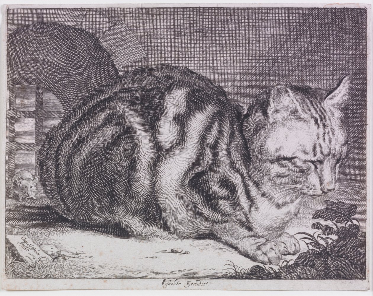 Den stora katten av Cornelis de Visscher